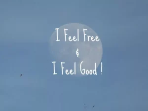 moon-and-birds-i-feel-free
