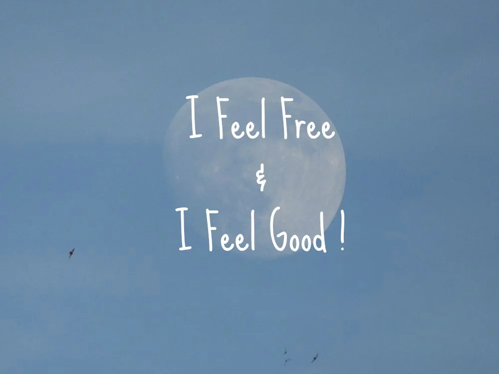 moon-and-birds-i-feel-free