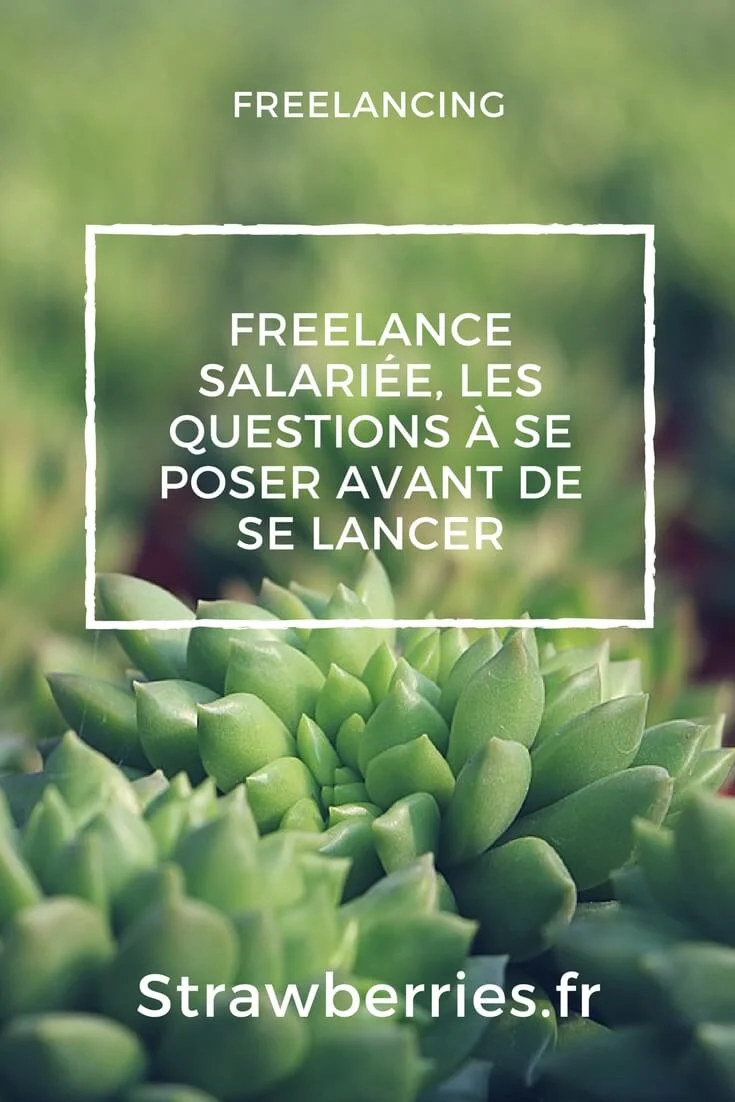 Freelance Salarie les questions a se poser avant de se lancer