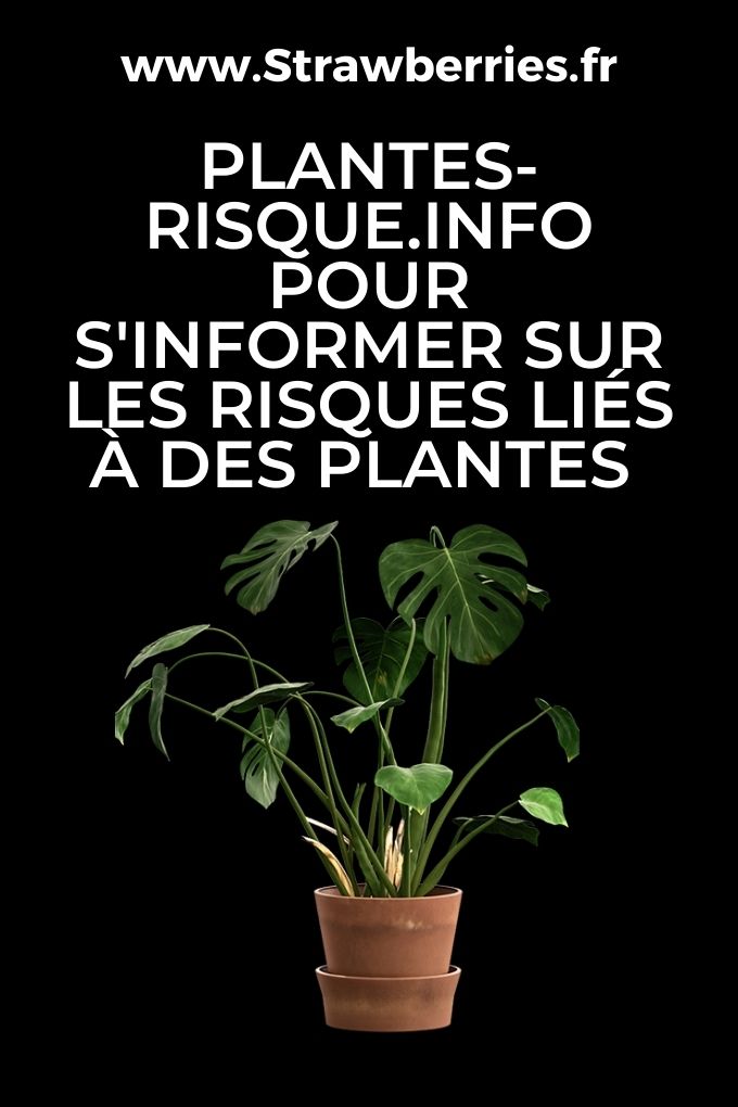 plantes-risque.info pour s'informer sur les risques liés à des plantes